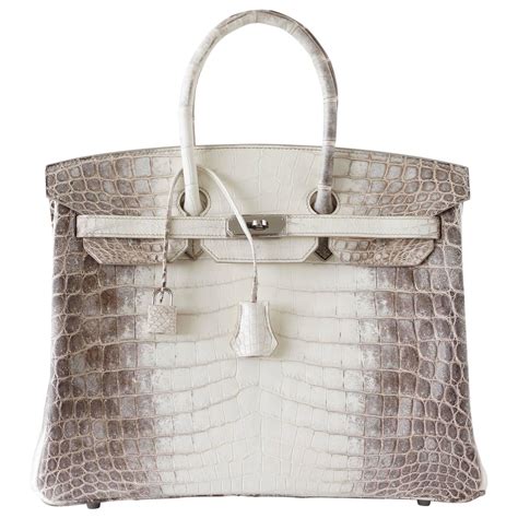 hermes birkin himalayan price.